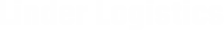 Laikinas_logo2